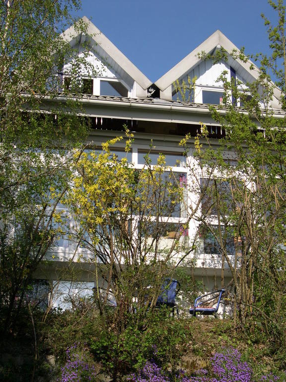 Gesundheitshotel Haus Sonnenstein Salem  Kültér fotó